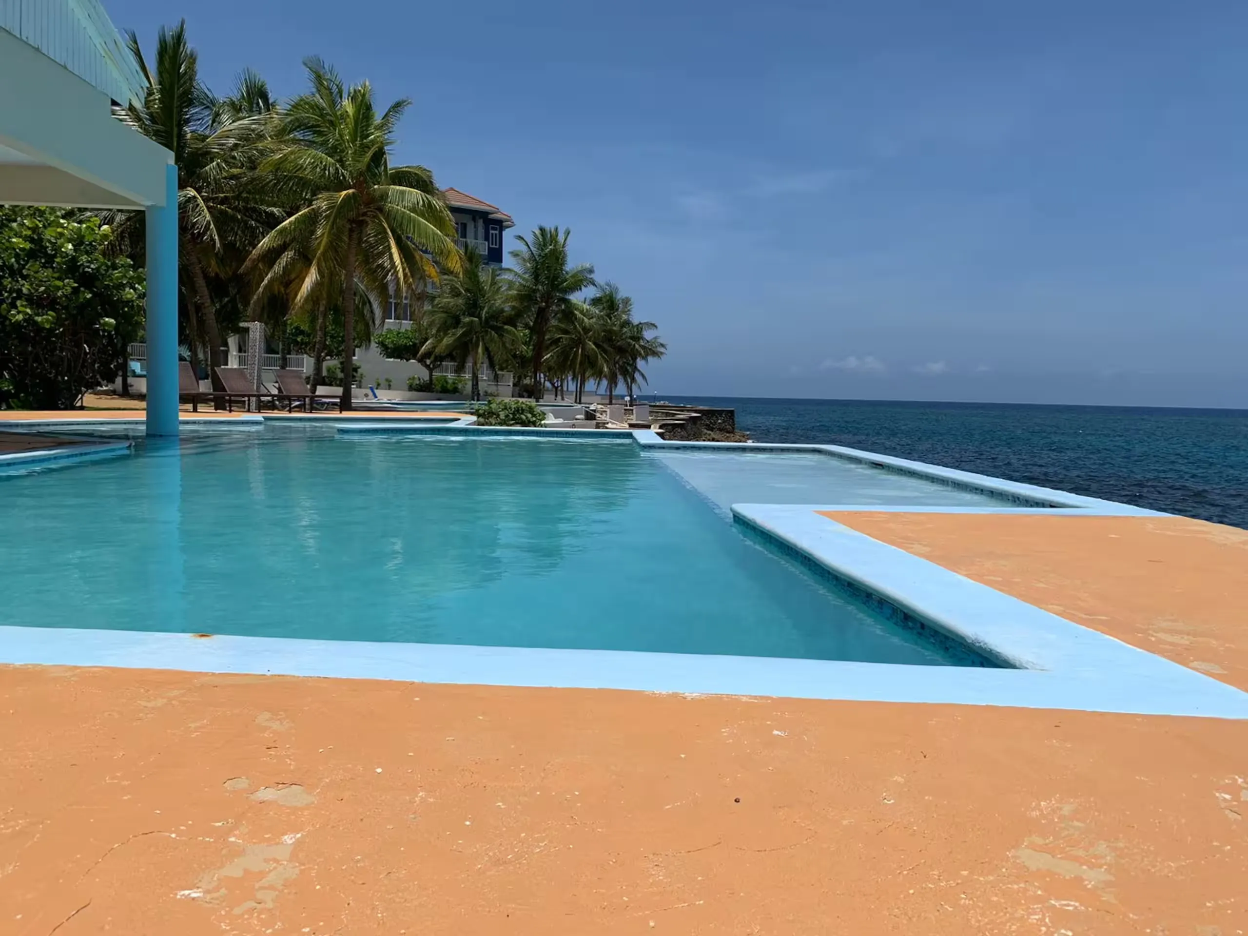 The shared freshwater pool with a terracotta deck, palm trees and the sea beyond.
